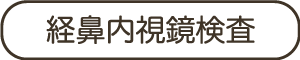 経鼻内視鏡検査